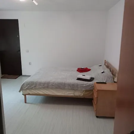 Nice And Cozy 2 Bedrooms Downtown Cluj-n Apartment