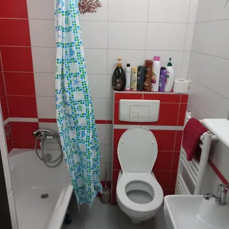 Nice And Cozy 2 Bedrooms Downtown Cluj-n * Cluj-Napoca