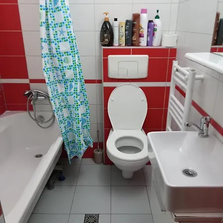 Nice And Cozy 2 Bedrooms Downtown Cluj-n Apartment